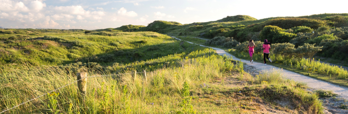 zuid holland shutterstock