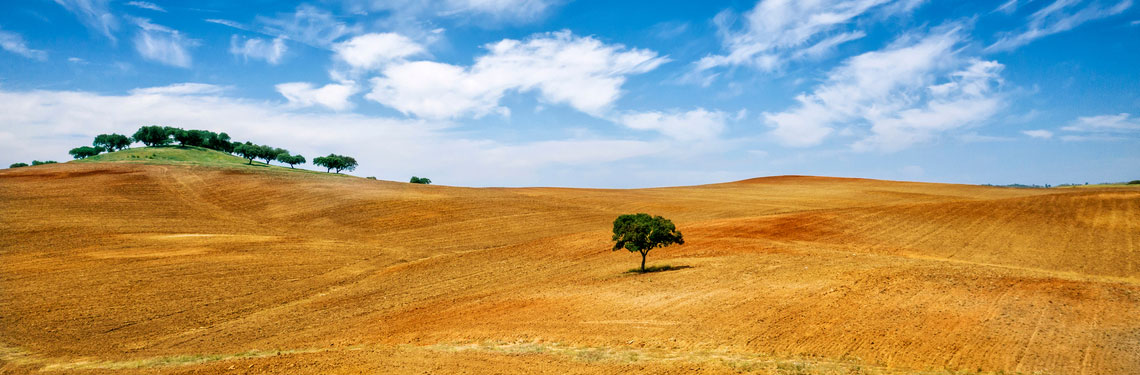 overnachten alentejo shutterstock