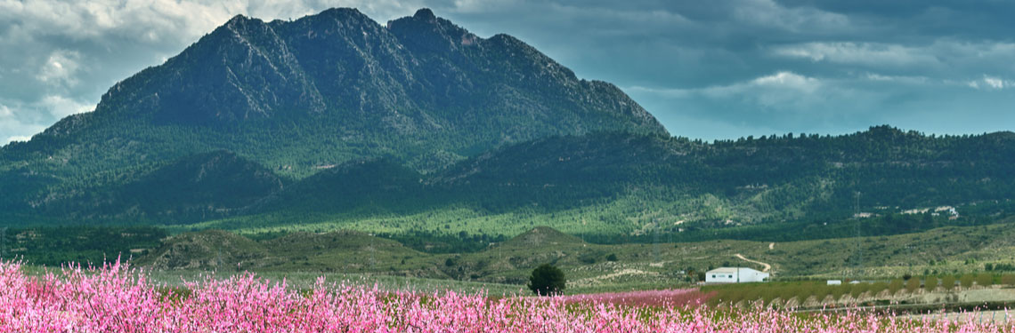 overnachten murcia shutterstock