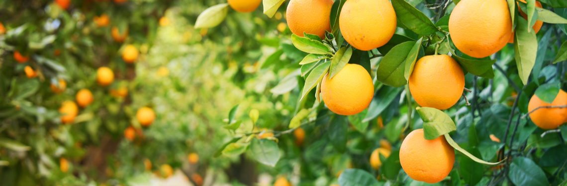 overnachten spanje shutterstock