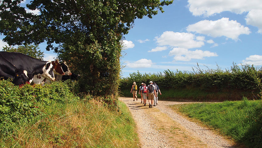 wandelpool partner artikel copy