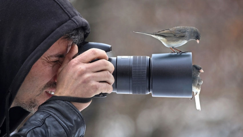 © foto Shutterstock