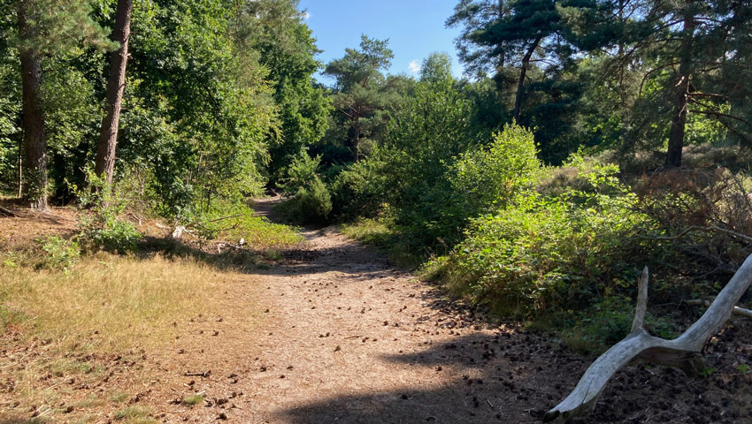 heuv2023 bankje twee beuken