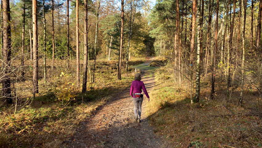 heuv2023 mooi bospad en martien