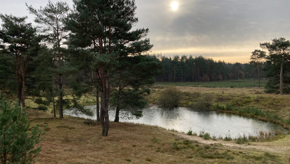 2025 veen zandvlakte martien