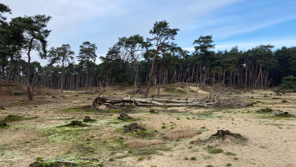 aus zandvlakte 15 25km