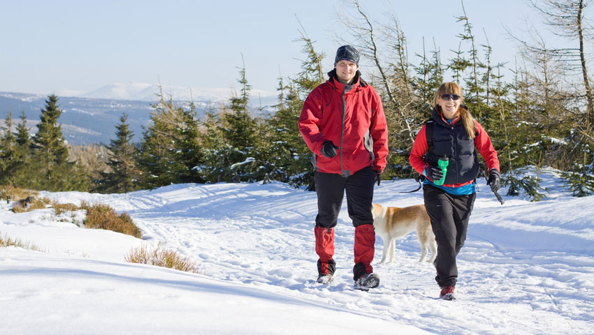 © foto Shutterstock