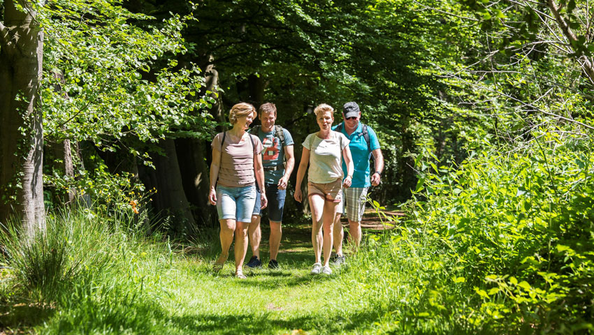 ws wandelgemeentewinterswijk2020 foto annet piek