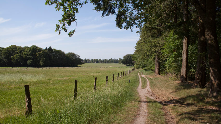 wvhj lochemse berg foto jennie burgers 002