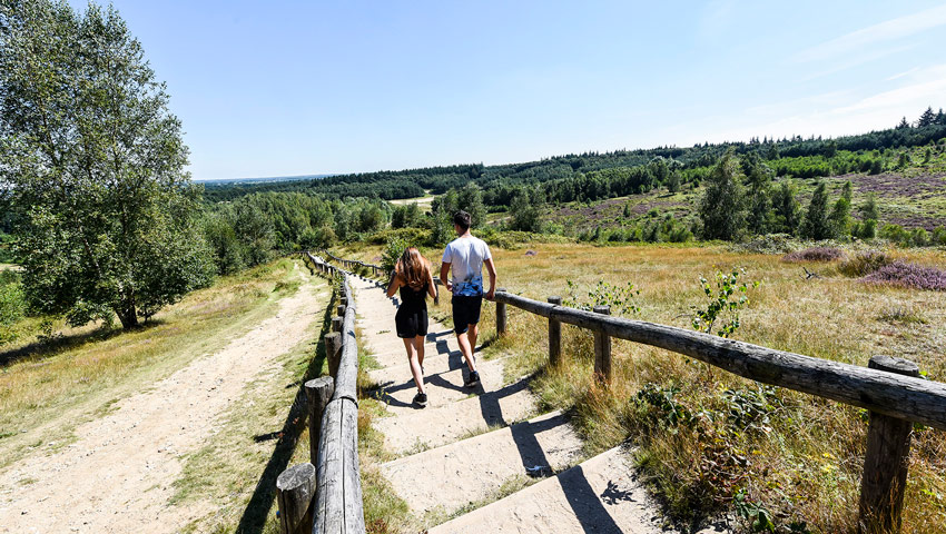 wvhj rhenen kwintelooijen kinderen duin zomer ah