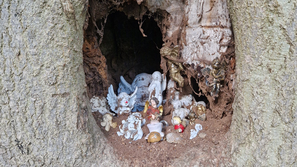 wandelpraat dmt beeldjes