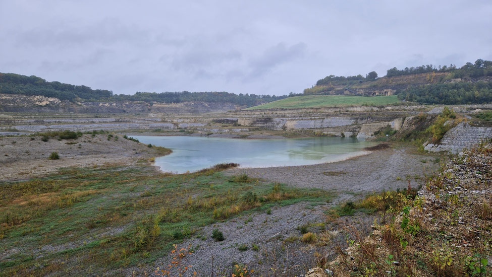 wandelpraat dmt meertje