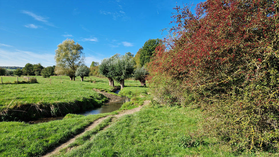 wandelpraat dmt polderlandschap