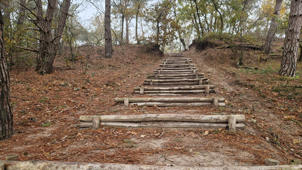 wandelpraat maashorst trap