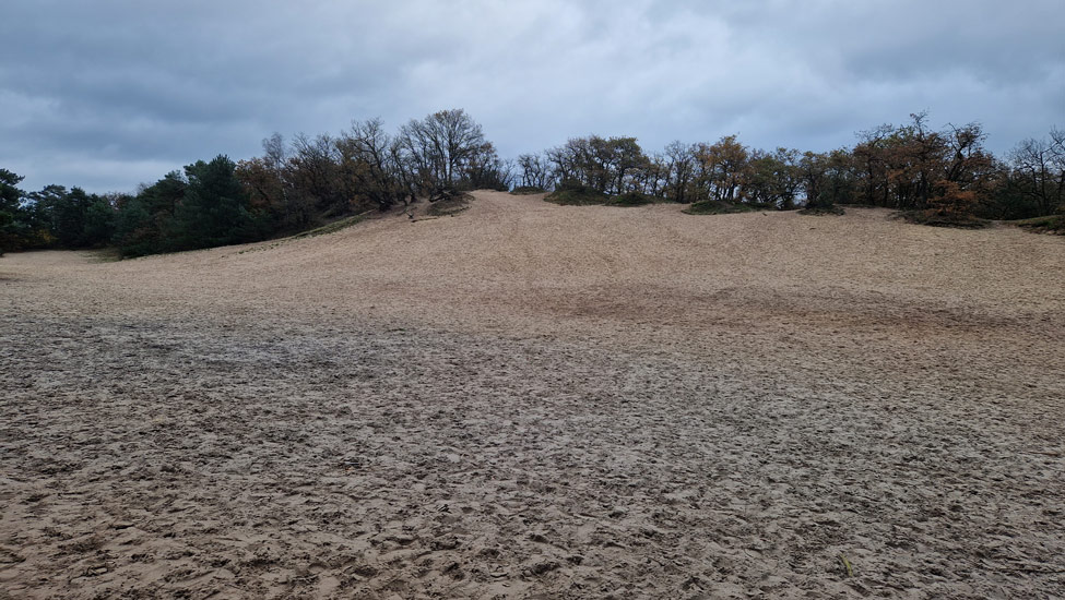 wandelpraat maashorst zandvlakte 2