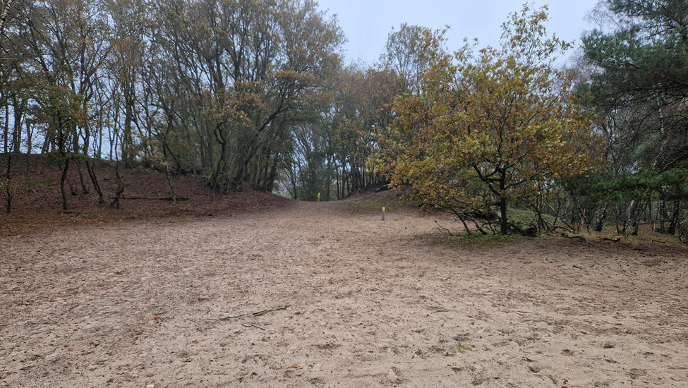 wandelpraat maashorst zandvlakte