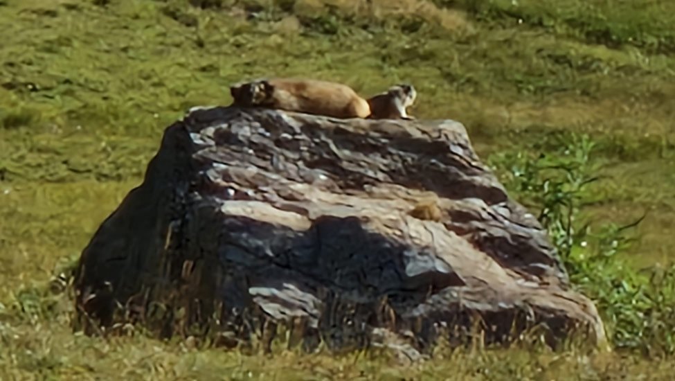 wandelpraat tignes beesten rots