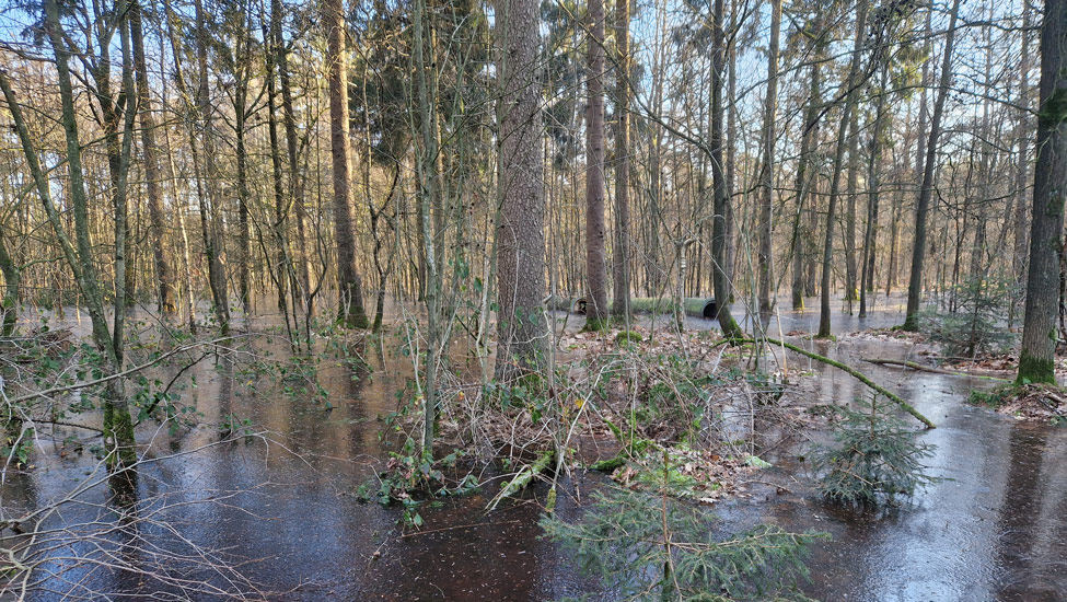 wandelpraat kempen ijs