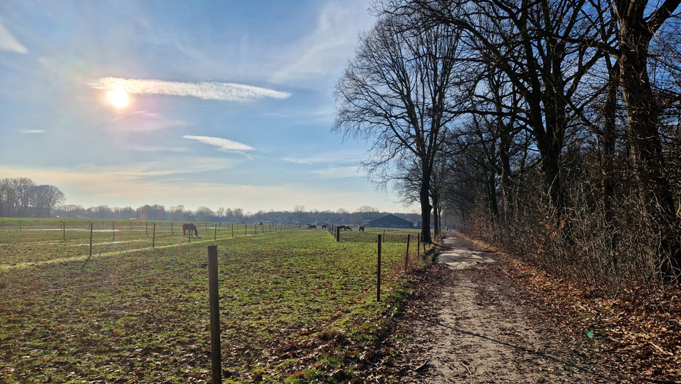 wandelpraat kempen paardenweide