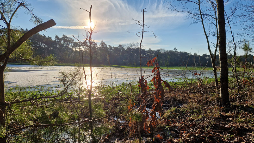 wandelpraat kempen ven