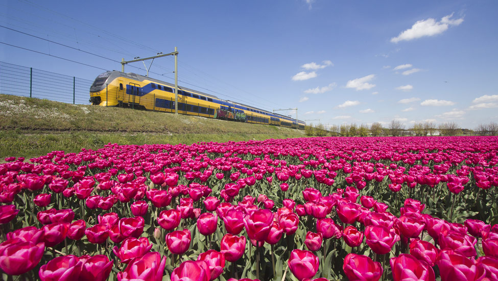 © foto Shutterstock