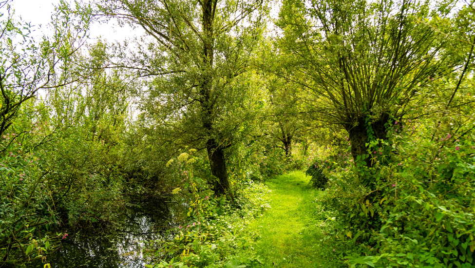wandelroutes streekpad shutterstock