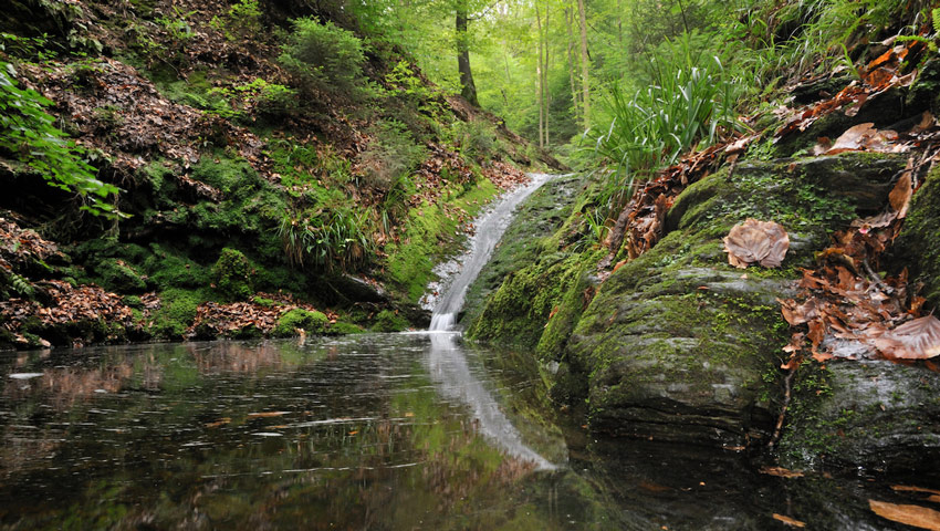 wandelvakantie wallonie herfst pierre pauquay vallon du ninglinspo