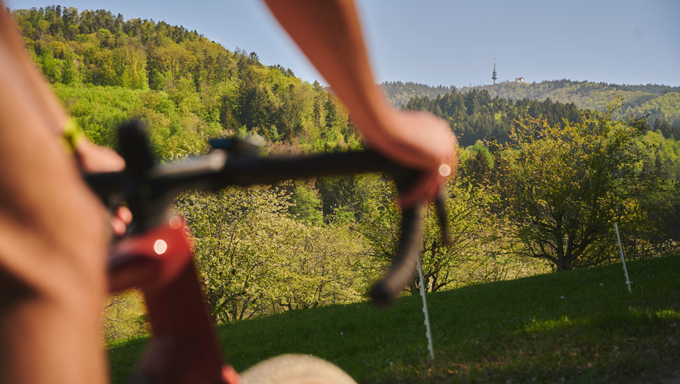 wandelvakantie badenweiler fietser