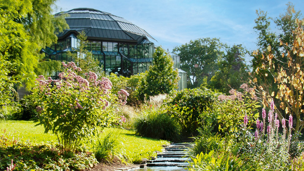 wandelvakantie badenweiler koepel
