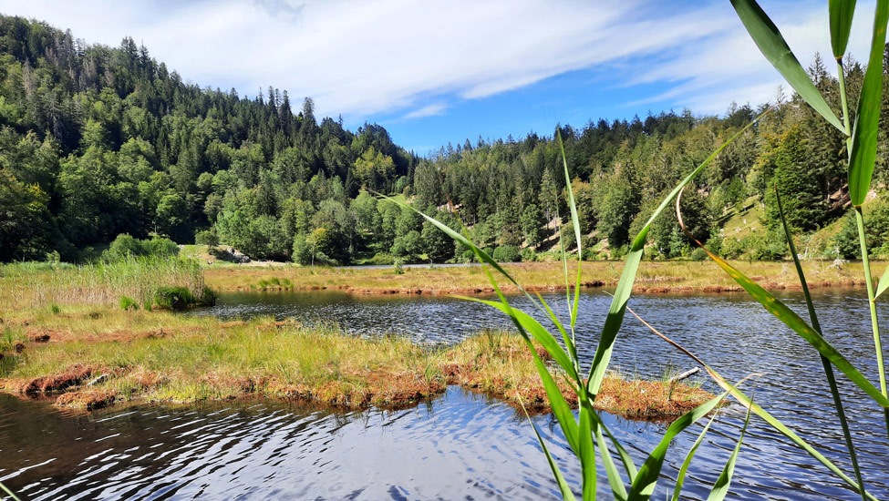 wandelvakantie badenweiler nonnenmattweiher