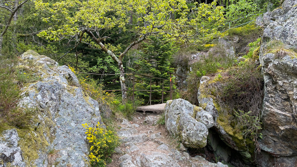 wandelvakantie badenweiler zwartewoud 2