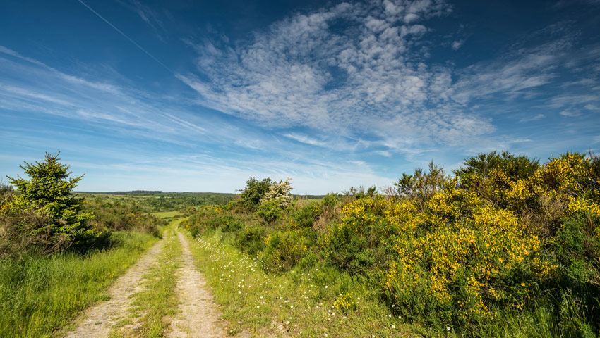 wandelvakantie eifelsteig dreibornerhochebenedominik ketz stadt schleiden