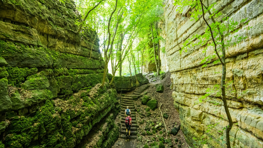 Felsenweg 3 Wollfsschlucht © foto Eifel Tourismus GmbH / Dominik Ketz