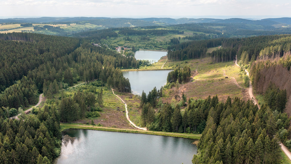 wandelvakantie harz 2 oberharzer wasserwirtschaft c northabroad