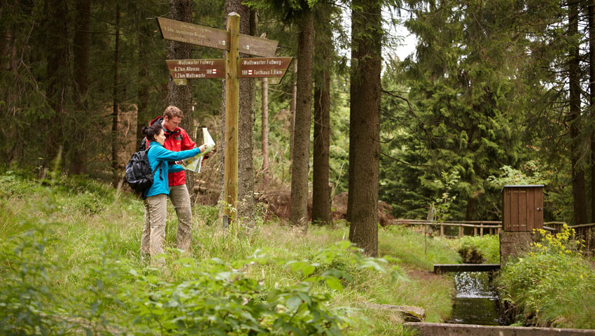 wandelvakantie harz6 waterlopen van het oberharzer wasserwirtschaft harzer tourismusverband m. gloger
