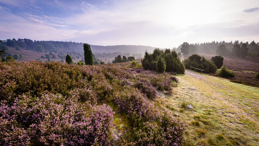 wandelvakantie 3 lueneburger heide gmbh