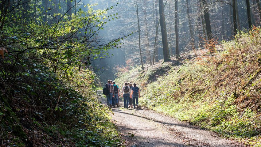 nedersaksen wandelen