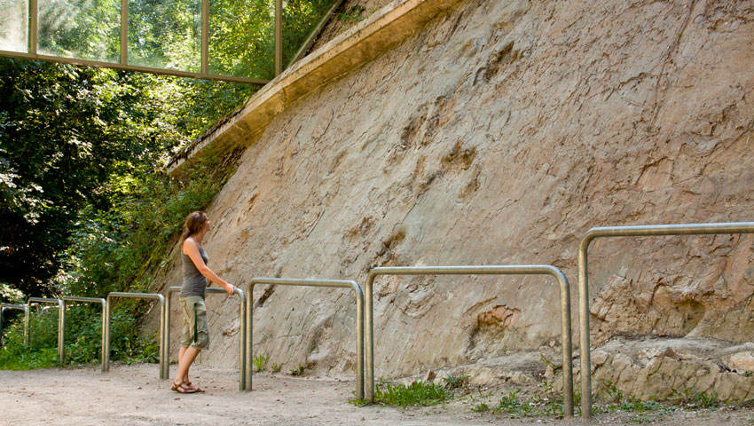 wandelvakantie bedeutendes naturdenkmal saurierfaehrten in barkhausen