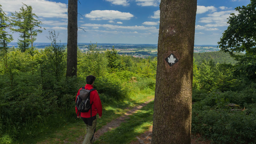 Ahornweg wandelvakantie