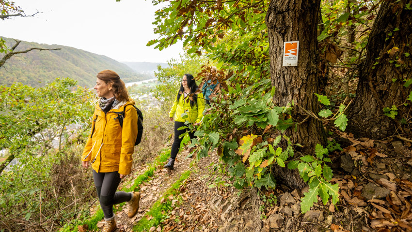 wandelvakantie untermosel 1 dominikketz