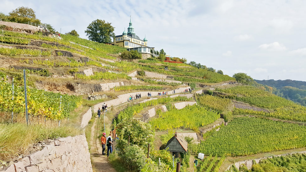 wandelvakantie saksen weinbergslage