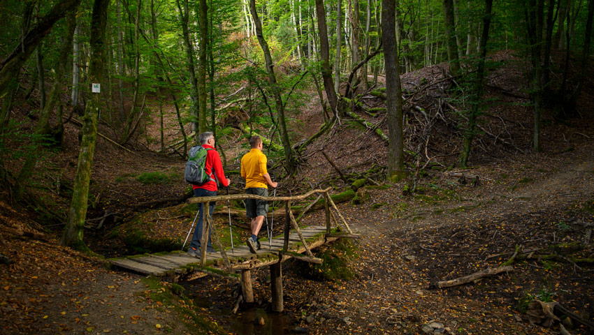 wandelvakantie wendelerland2 klaus peter kappest