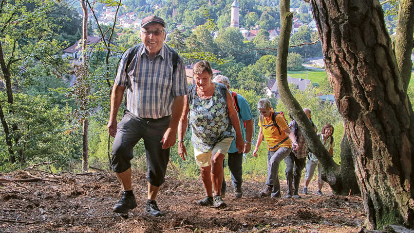 wandelvakantie wendelerland 2