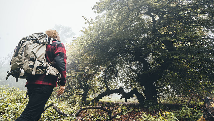 © TMN/ Fotograf: German Roamers/ Johannes Becker