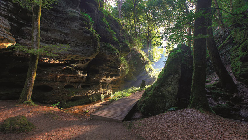 wandelvakantie duitsland natuurpark zuid eifel charly schleder