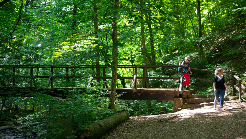 wandelvakantie duitsland westerwald1