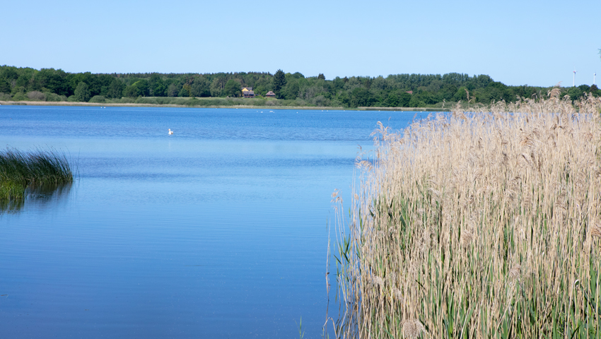 wandelvakantie duitsland westerwald3