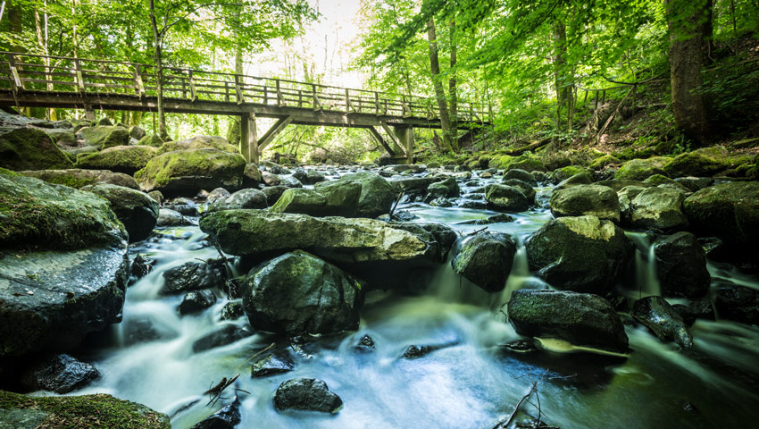 wandelvakantie westerwald rennerod 2018 096 holzbachschlucht