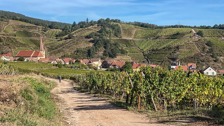 wandelpraat snp elzas ab 1111