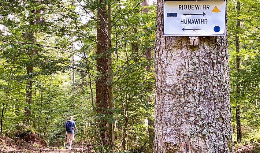 wandelpraat snp elzas ab 1351